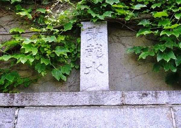 ブログ2024年06月22日：岩手の名水(その1)‐思ったほどは・・・ － 株式